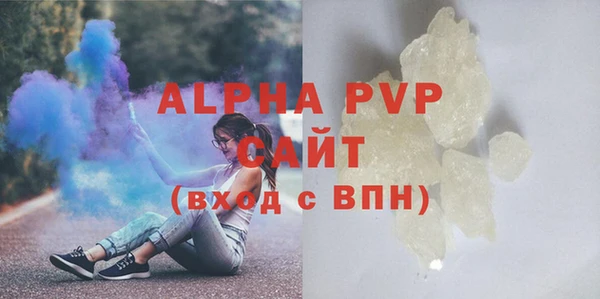 сатива Инсар