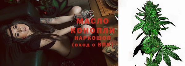 сатива Инсар