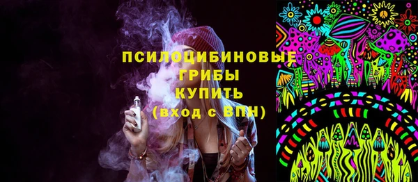 мяу мяу мука Инта