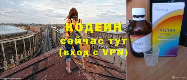 сатива Инсар