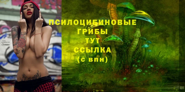 мяу мяу мука Инта
