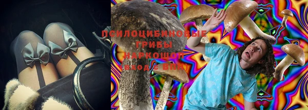 мяу мяу мука Инта