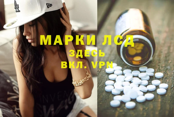 сатива Инсар