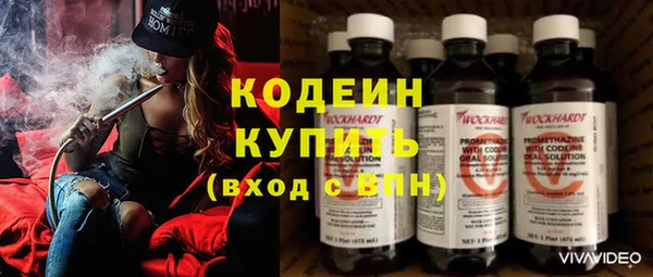 мяу мяу мука Инта