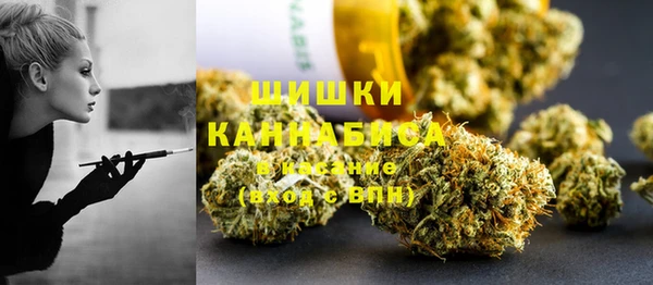 мдпв Каменка