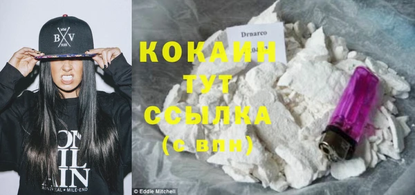сатива Инсар