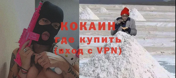 сатива Инсар
