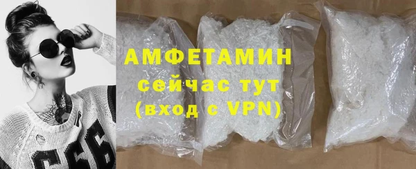 сатива Инсар