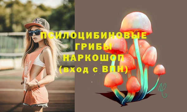 мяу мяу мука Инта