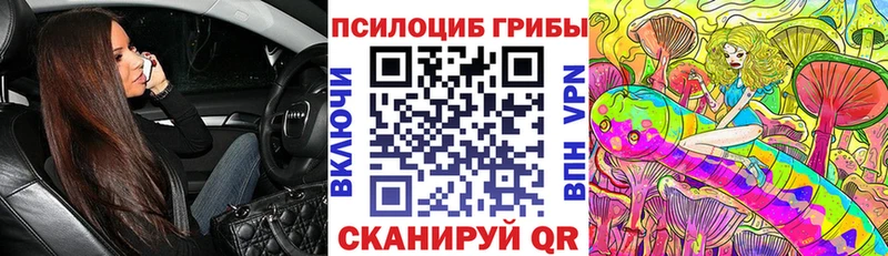 Псилоцибиновые грибы мицелий  Купить закладки  Белебей 